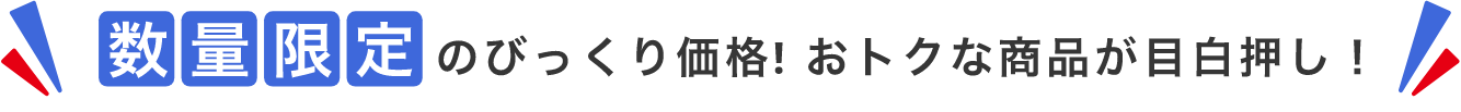 期間限定のびっくり価格!おトクな商品が目白押し！
