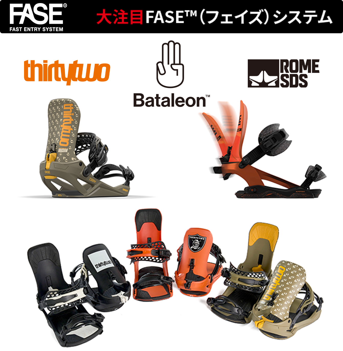 大注目FASEシステム