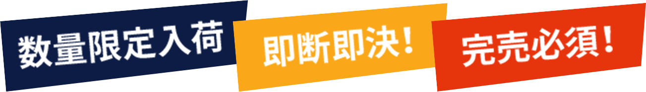 数量限定入荷 即断即決! 完売必須!